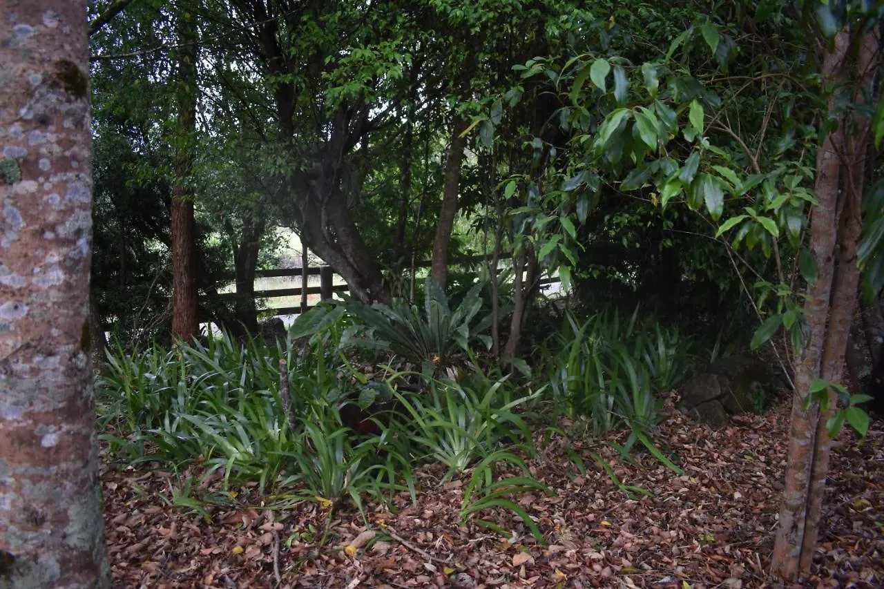 Arcadia Views Villa Witta Holiday home